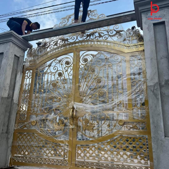 Mẫu cửa sắt  hoa văn 